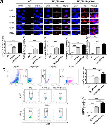 Exosomes released by environmental pollutant-stimulated Keratinocytes/PBMCs can trigger psoriatic inflammation in recipient cells via the AhR signaling pathway
